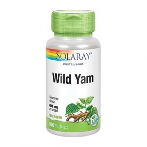 Wild Yam Root 400 mg