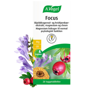 A. Vogel Focus (28 tabl)